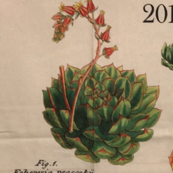 2019 calendar tea towel with cactus NWT - Picture 5 of 16